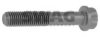 SWAG 99 90 8213 Screw, pressure plate
